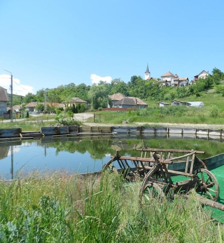 Csipkeszeg Bed & Breakfast Sic / Szek Romania Exterior foto
