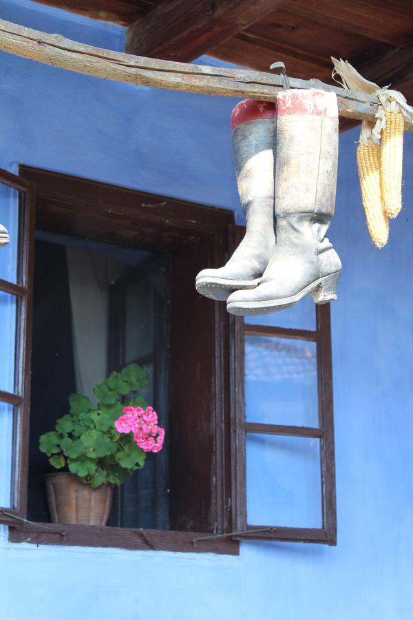 Csipkeszeg Bed & Breakfast Sic / Szek Romania Exterior foto